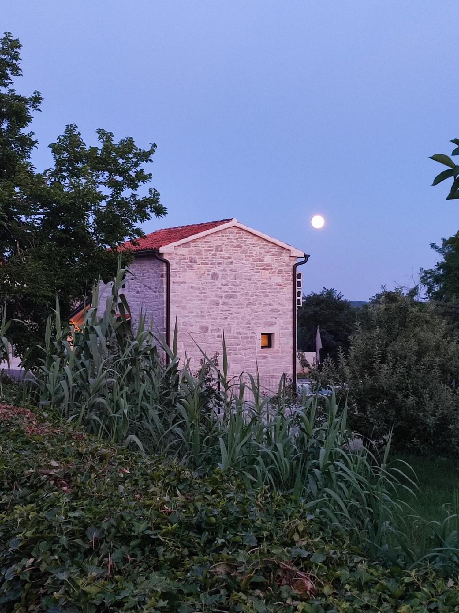 Villa Lita Pazin Zewnętrze zdjęcie